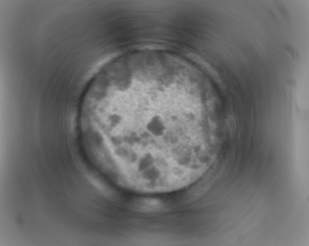 X0000113600159200910161914