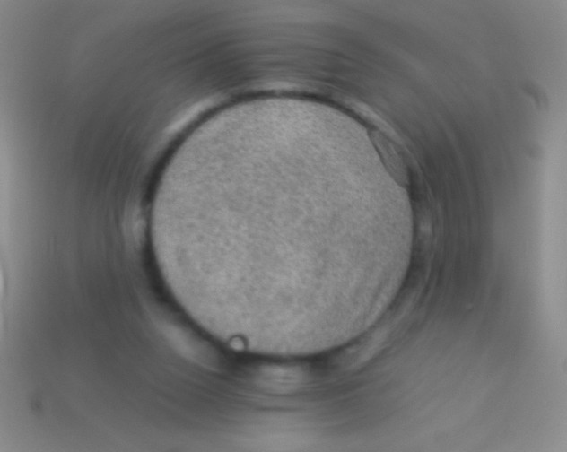 X0000113600160200910161914