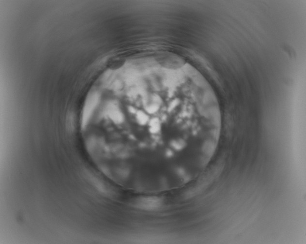 X0000113600161200910161914