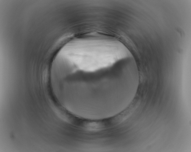 X0000113600163200910161914