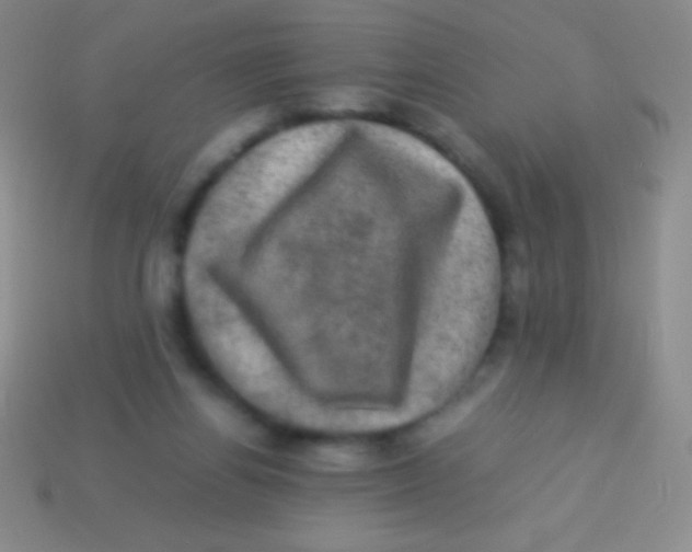 X0000113600164200910161914