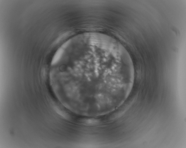 X0000113600165200910161914