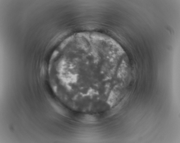 X0000113600166200910161914