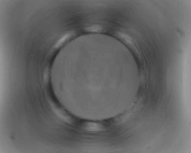 X0000113600167200910161914