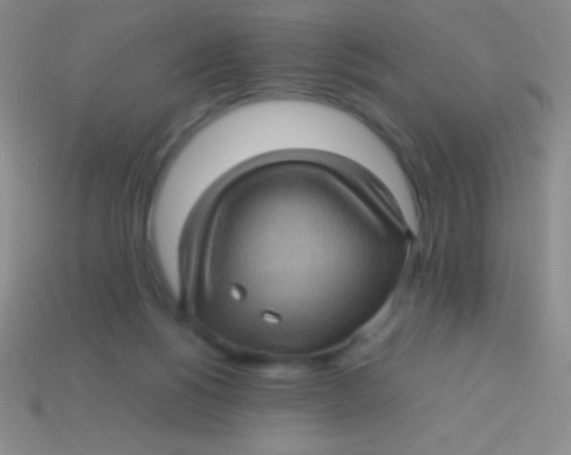 X0000113600168200910161914