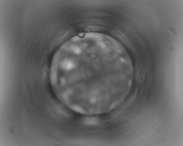 X0000113600169200910161914