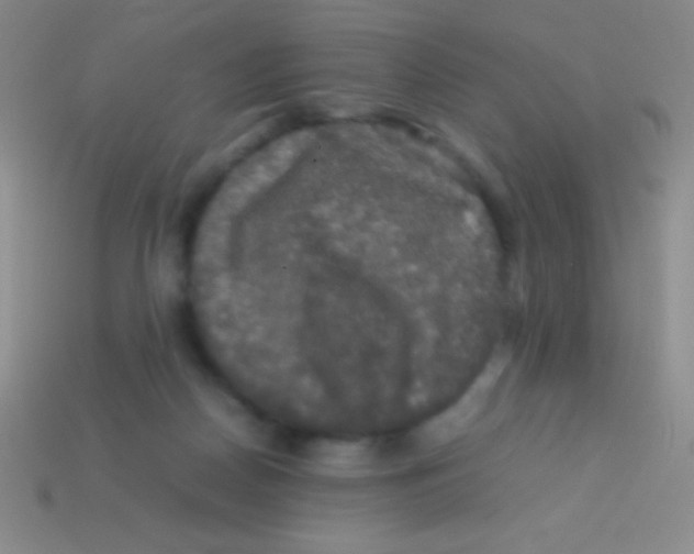 X0000113600170200910161914