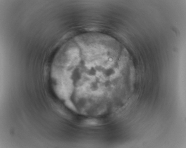 X0000113600171200910161914