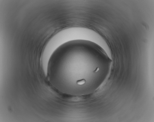 X0000113600172200910161914