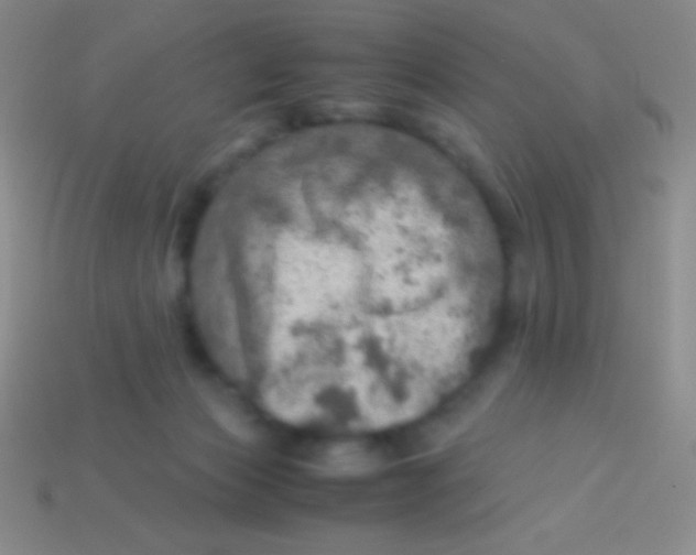 X0000113600173200910161914