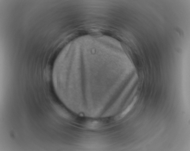 X0000113600174200910161914