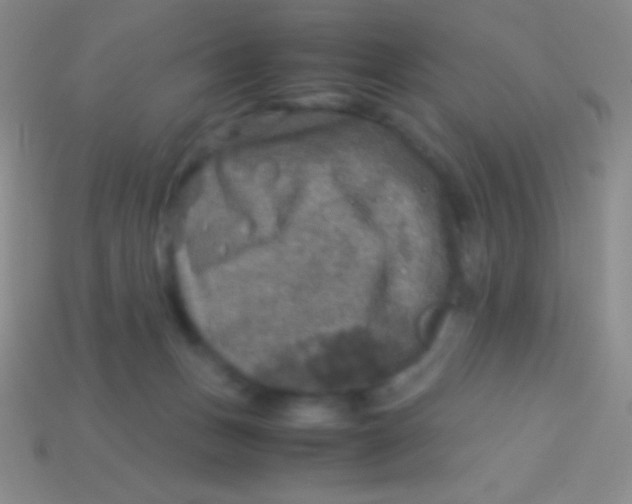 X0000113600175200910161914