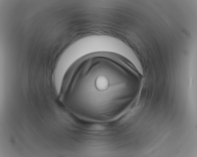 X0000113600176200910161914