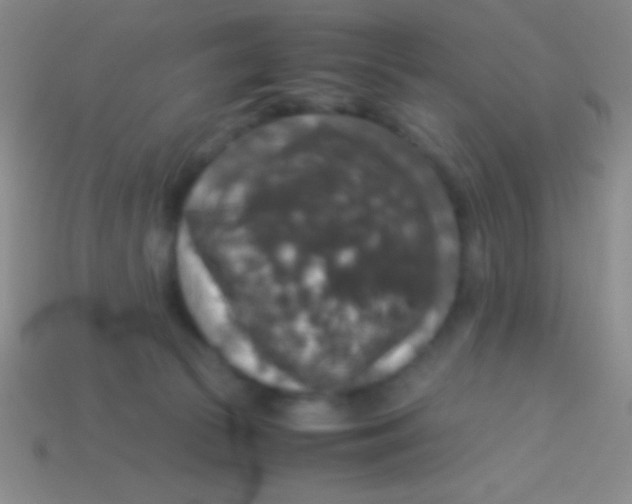 X0000113600177200910161914