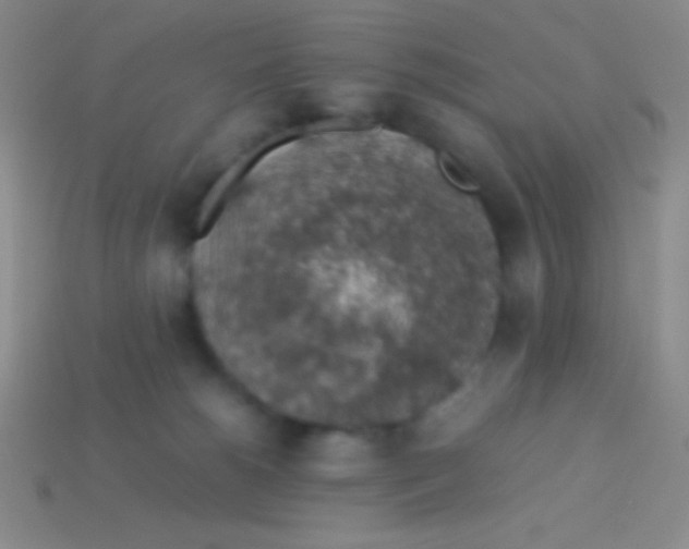 X0000113600180200910161914