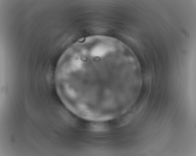 X0000113600181200910161914