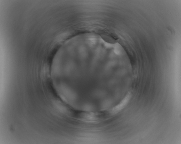 X0000113600182200910161914