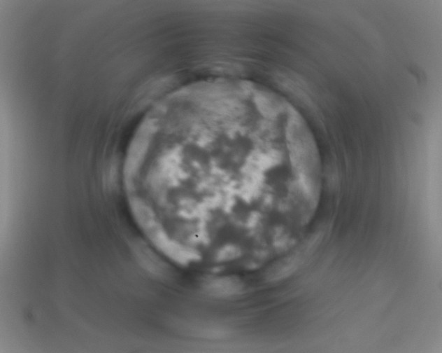 X0000113600185200910161914