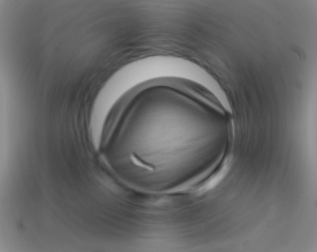 X0000113600186200910161915