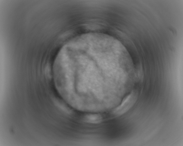 X0000113600187200910161915