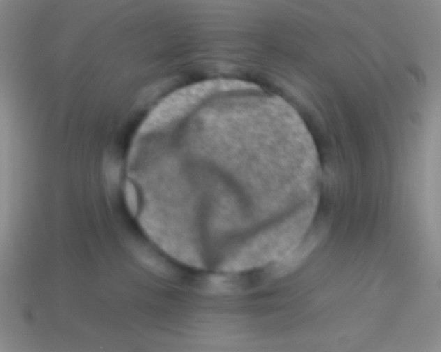 X0000113600188200910161915