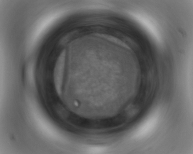 X0000113600189200910161915