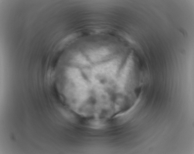 X0000113600191200910161915