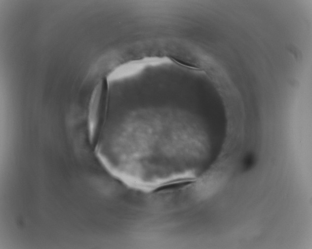 X0000113600192200910161915