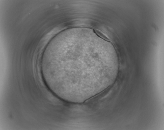 X0000113600193200910161914