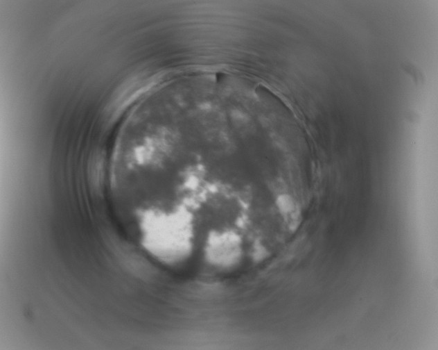 X0000113600194200910161914