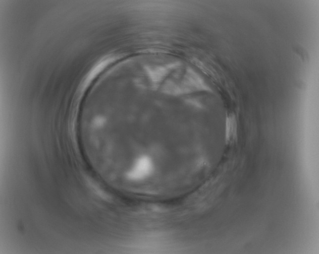 X0000113600195200910161914