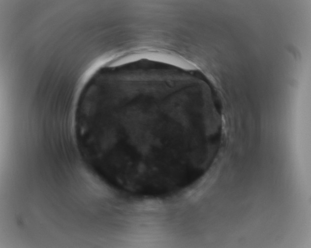 X0000113600196200910161914