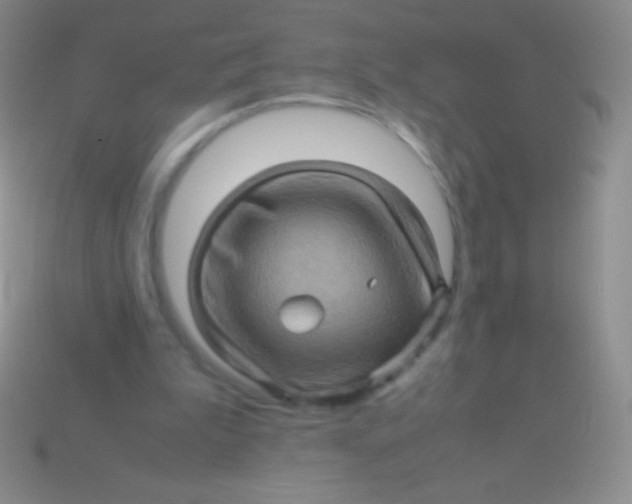 X0000113600199200910161914