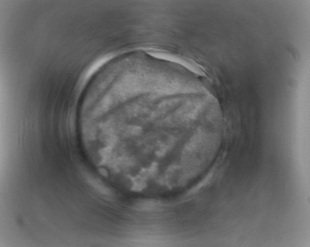 X0000113600200200910161914