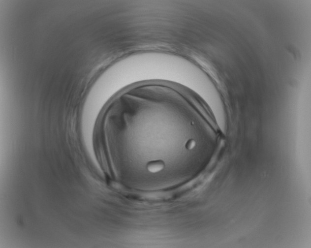 X0000113600201200910161914