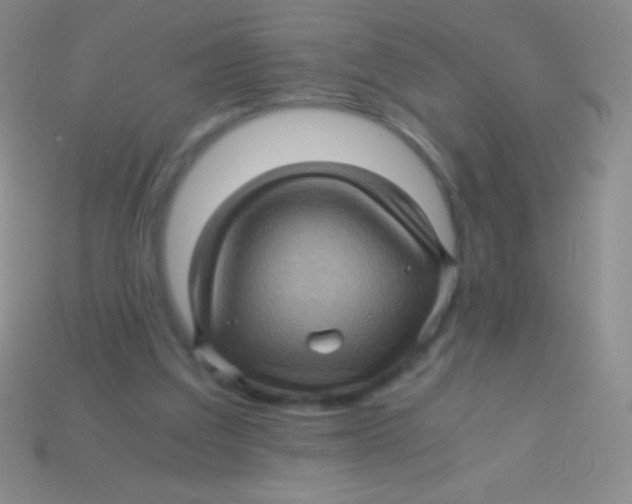 X0000113600203200910161914