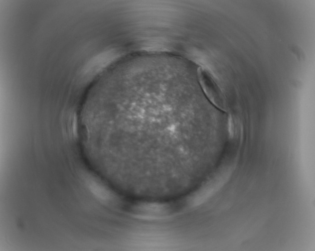 X0000113600205200910161914