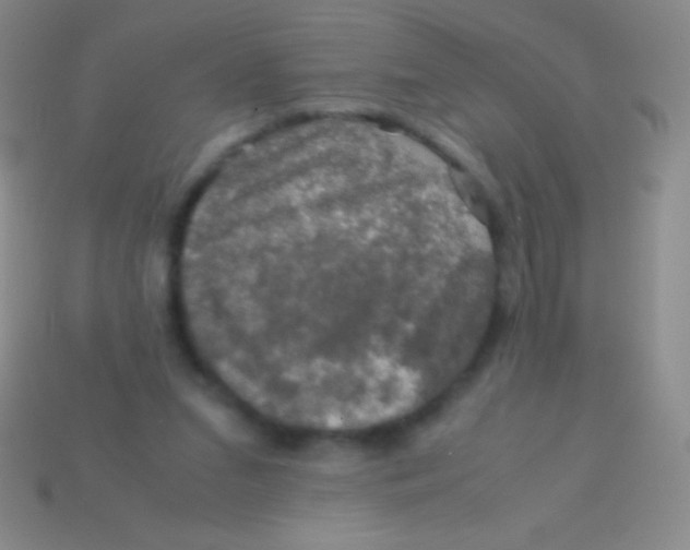 X0000113600207200910161914