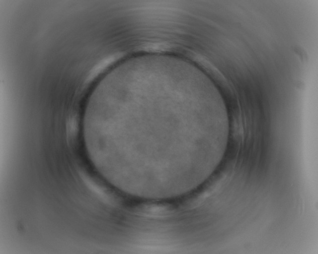 X0000113600208200910161914