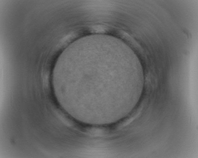 X0000113600209200910161914