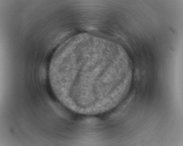 X0000113600210200910161914