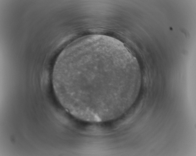 X0000113600211200910161913