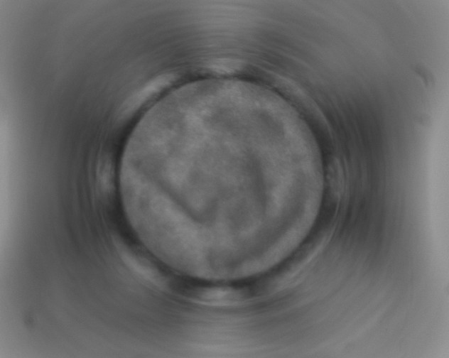 X0000113600212200910161913