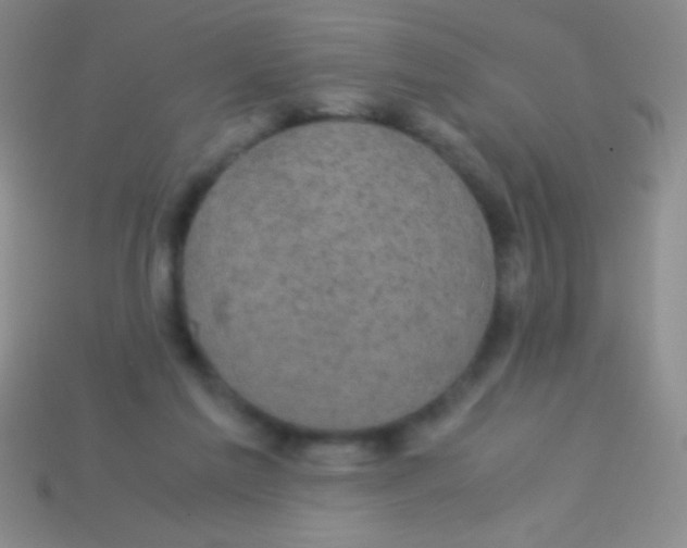 X0000113600213200910161913