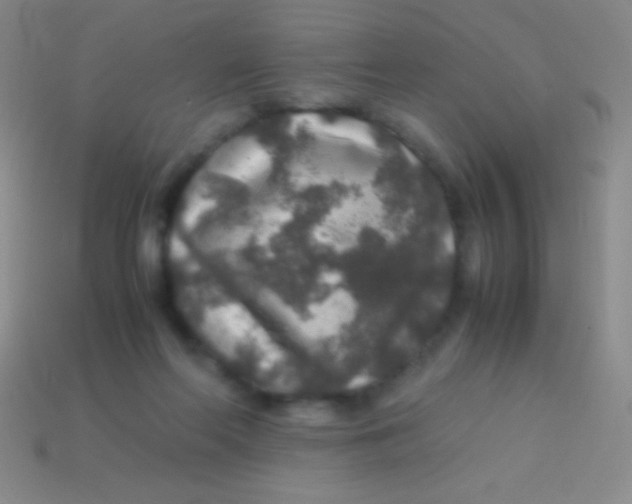 X0000113600214200910161913