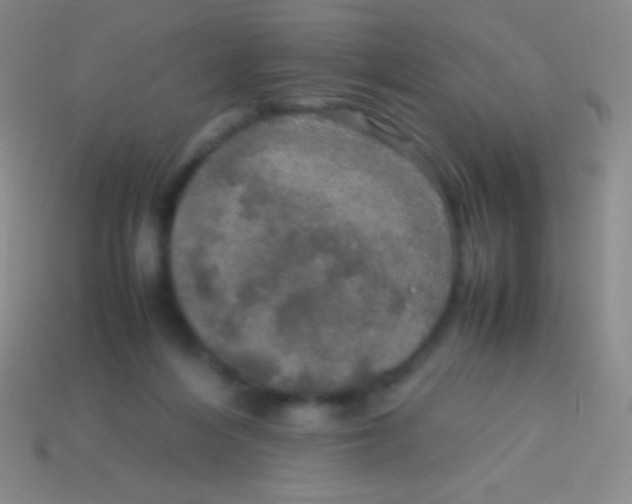 X0000113600216200910161913