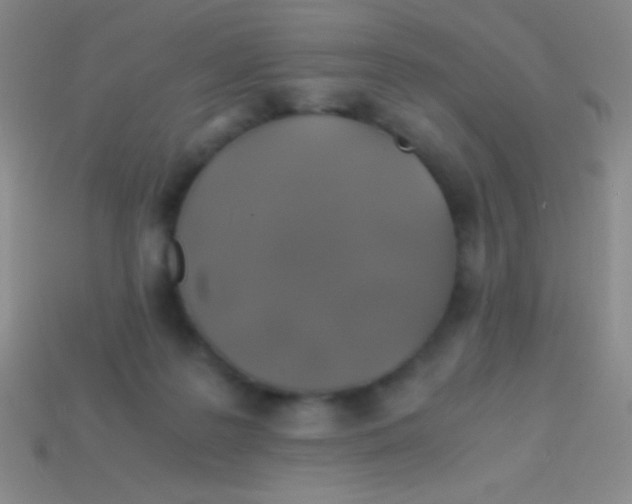 X0000113600219200910161913