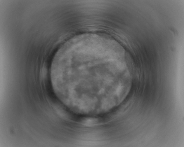 X0000113600220200910161913