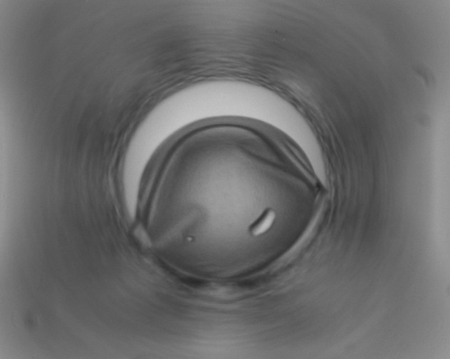 X0000113600221200910161913