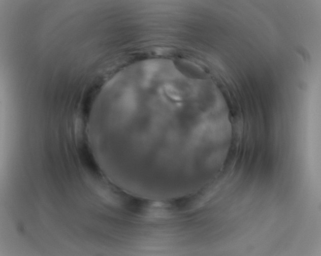 X0000113600222200910161913